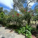 Aparthotel Eleni - Town Limenas (Thasos)