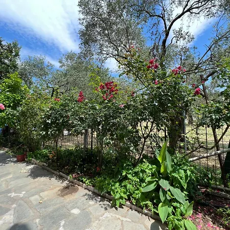 Hotel apartamentowy Eleni - Town Limenas (Thasos)