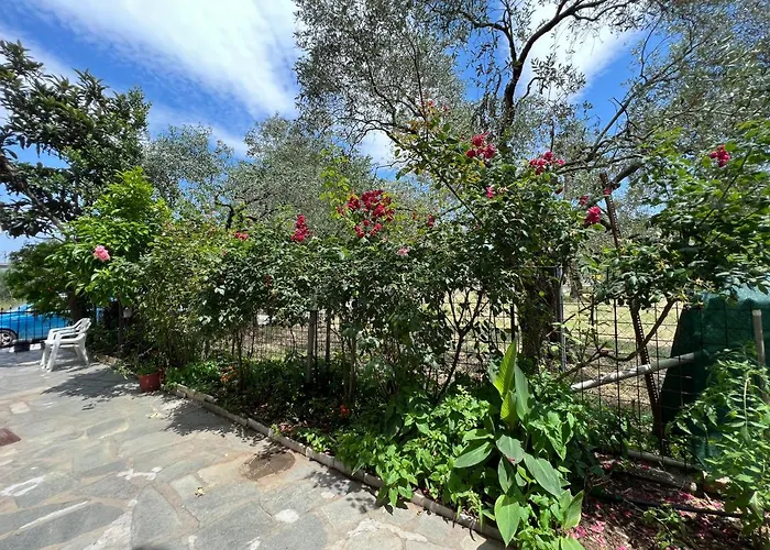 Apartahotel Eleni - Town Limenas (Thasos)